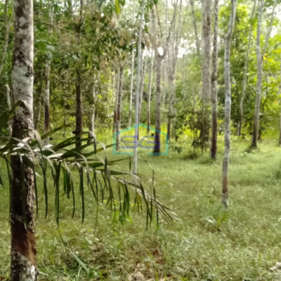 Dijual Tanah Plus 2 Unit Bangunan di Pulau Harapan Km 28 Jalan Palembang LT 17000m2