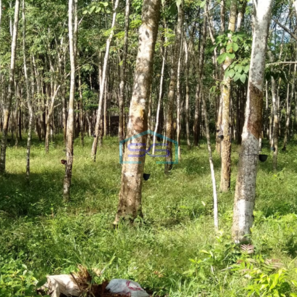 Dijual Tanah Plus 2 Unit Bangunan di Pulau Harapan Km 28 Jalan Palembang LT 17000m2-2