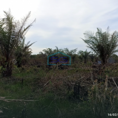 Dijual Lahan Tanah Dusun Parit Indralaya Utara Kab Ogan Ilir Sumatera Selatan LT 45000m2