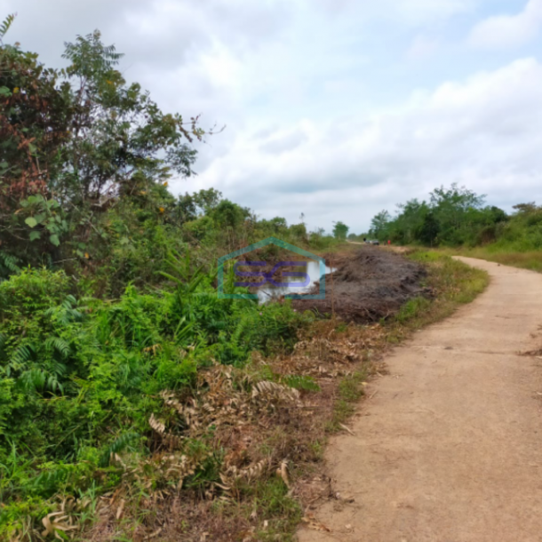 Dijual Tanah Hamparan Jalan Tanjung Api Api Jembatan Gasing Laut Banyuasin Sumatera Selatan-2
