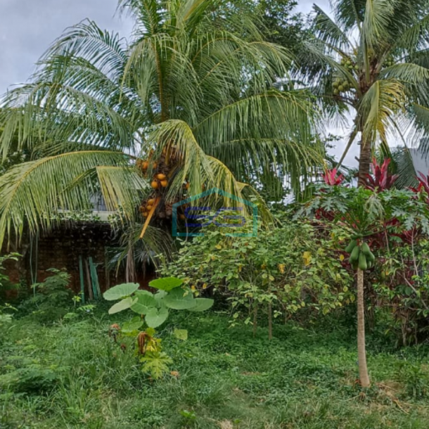 Dijual Tanah Luas Jalan Kapten Marzuki Kamboja Palembang LT 1837m2-2