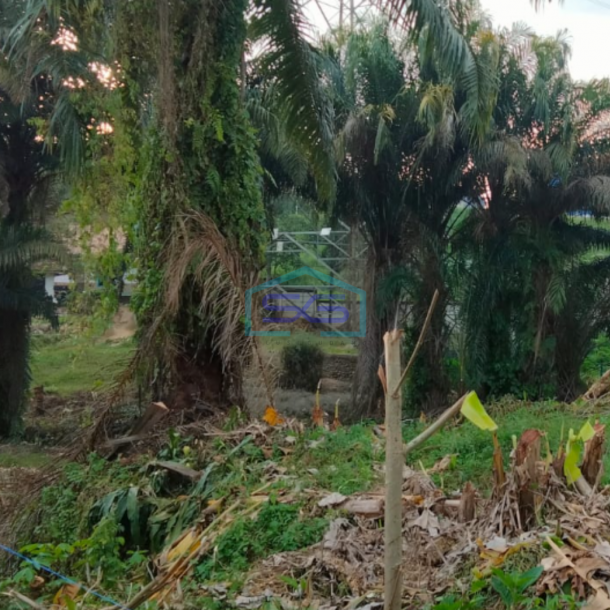 Dijual Tanah siap Bangun di Jalan Kantor Lurah Sukomoro Talang Kelapa Banyuasin Sumatera Selatan LT 2000m2-3