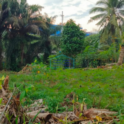 Dijual Tanah siap Bangun di Jalan Kantor Lurah Sukomoro Talang Kelapa Banyuasin Sumatera Selatan LT 2000m2