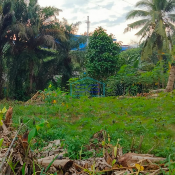 Dijual Tanah siap Bangun di Jalan Kantor Lurah Sukomoro Talang Kelapa Banyuasin Sumatera Selatan LT 2000m2-1