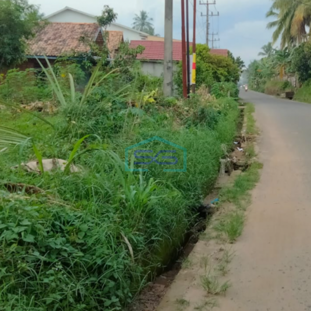 Dijual Tanah siap Bangun di Jalan Kantor Lurah Sukomoro Talang Kelapa Banyuasin Sumatera Selatan LT 2000m2-2