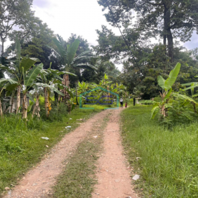 Dijual Tanah Luas Samping Punti Kayu Jalan Kolonel H Burlian Km 7 Palembang Luas 8900m2