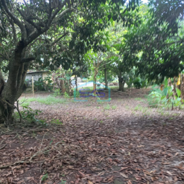 Dijual Tanah di Kabupaten Ogan Ilir Indralaya Sumatera Selatan LT 40.000m2-3