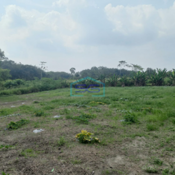 Dijual Tanah di Kabupaten Ogan Ilir Indralaya Sumatera Selatan LT 40.000m2-2