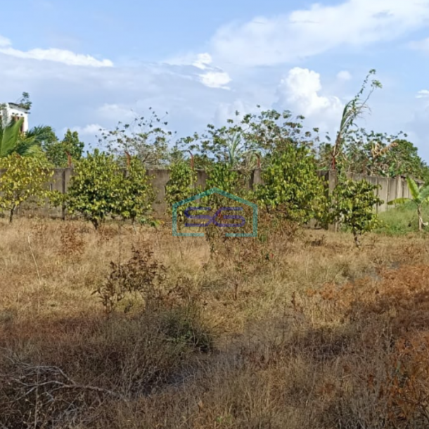 Dijual Tanah Keras Siap Bangun Kawasan Ramai Talang Jambe Palembang Bebas Banjir-1