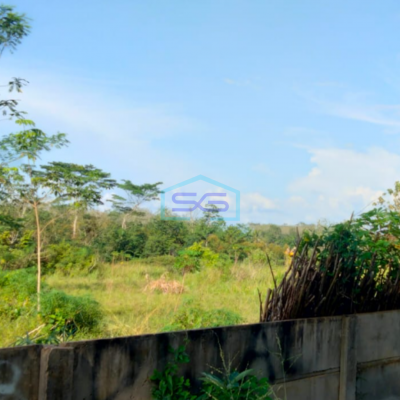 Dijual Tanah Murah Jalan Gandus Talang Buluh Banyuasin Sumatera Selatan LT 14000m2