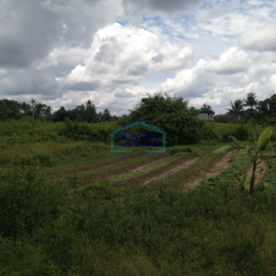 Dijual Tanah Luas Strategis Purwosari Celentang Palembang LT 21000m2