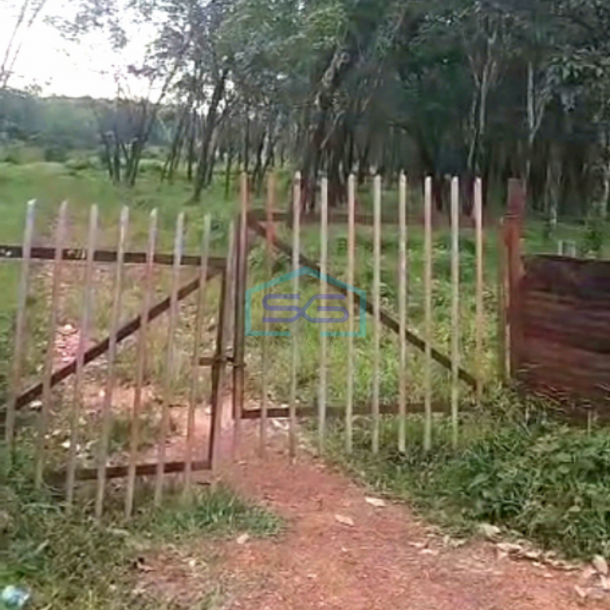 Dijual Tanah Lahan Kebun di Air Batu Talang Kelapa Banyuasin Sumatera Selatan LT 48000m2-2