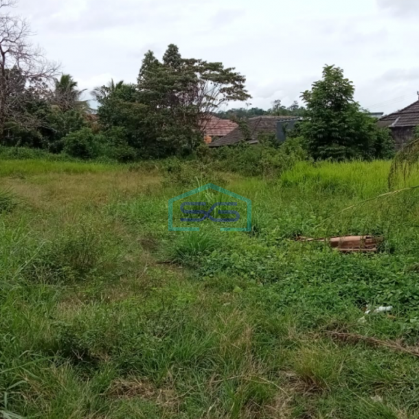 Dijual Tanah Keras Muara Siban Lahat Sumatera Selatan LT 4000m2-1