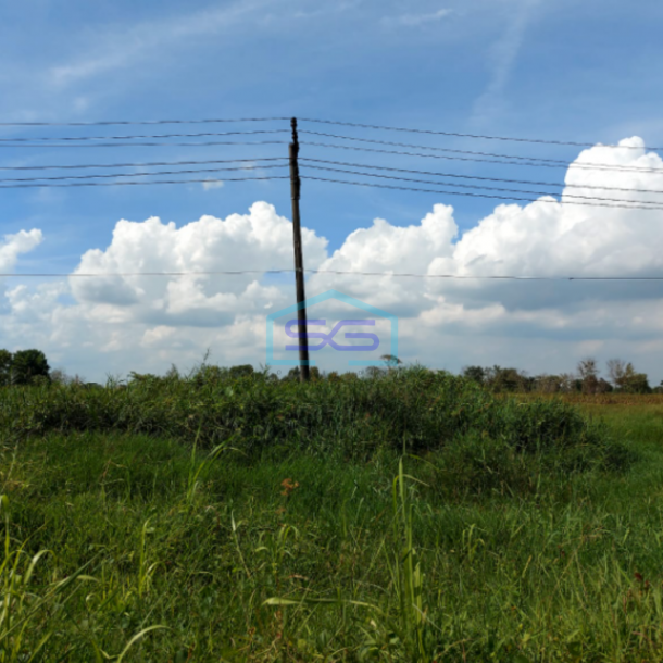 Dijual Tanah Strategis di Tepi Jalan Lingkar Selatan Rambutan Palembang Luas Tanah 13.379m2-2