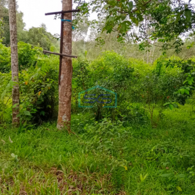 Dijual Tanah di Jalan Talang Kepuh Gandus Palembang Lokasi Mudah Dijangkau