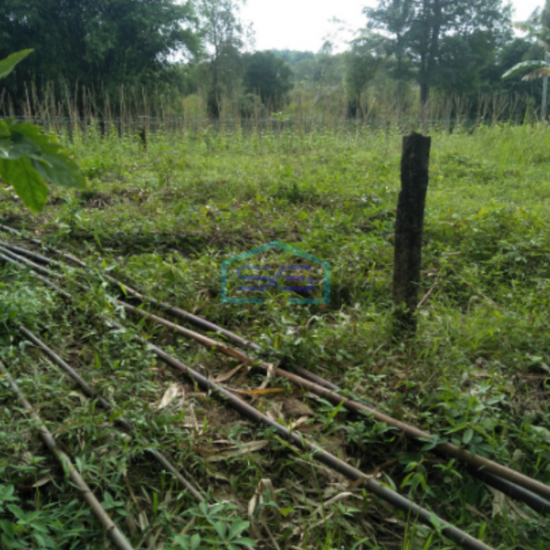 Dijual Tanah Kaplingan Tanjung Barangan Bukit Baru palembang LT 900m2-1