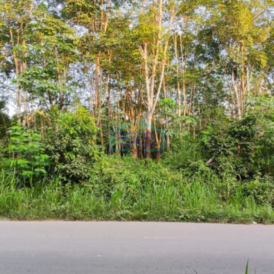 Dijual Tanah dengan Bonus Kebun Karet di Lingkar Prabumulih Sumatera Selatan