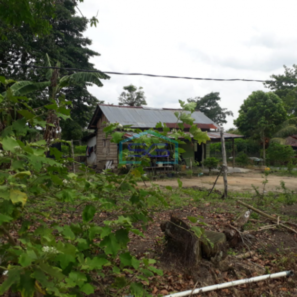 Dijual Murah Tanah Luas Indralaya Utara Desa Parit Jaya Indralaya Sumatera Selatan LT 2 Ha-1