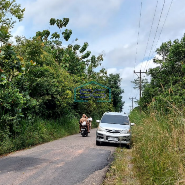 Dijual Murah Tanah Indralaya Jalintim Palembang Prabumulih Sumatera Selatan LT 19980m2-3