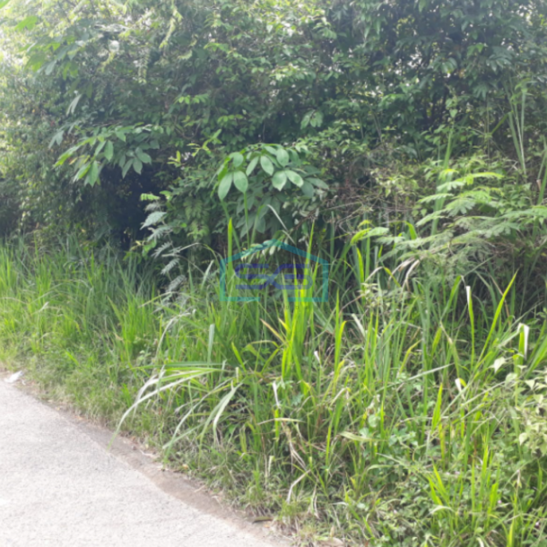 Dijual Murah Tanah Indralaya Jalintim Palembang Prabumulih Sumatera Selatan LT 19980m2-2