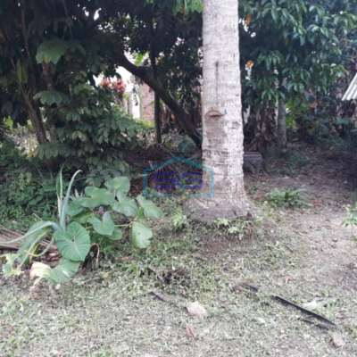 Dijual Lahan Tanah Jalan Padat Karya Talang Jambe Palembang LT 1400m2