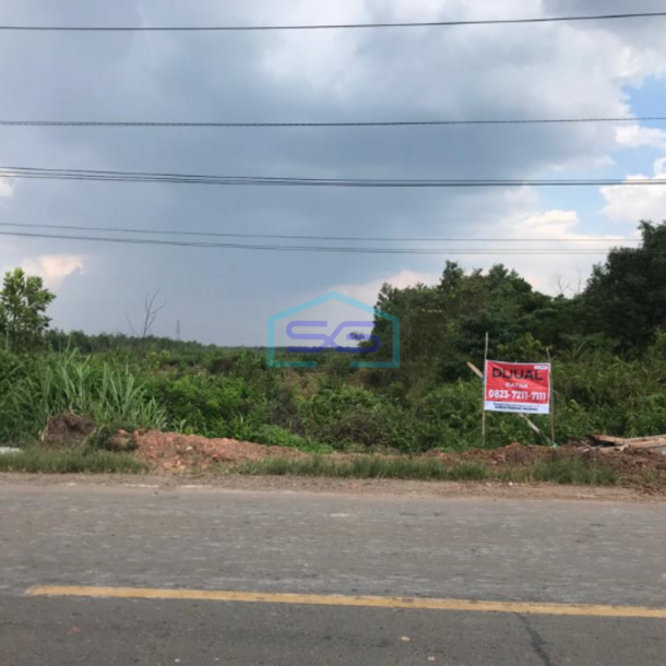 Dijual Cepat Tanah Lahan 2 Hektar Sangat Murah Tanjung Api Api Palembang-2