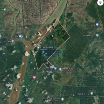 Dijual Lahan Kebun Karet Teluk Tenggirik Banyuasin Sumatera Selatan LT 85 Ha
