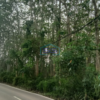 Dijual Tanah Plus Pohon Jati Talang Buluh Kelapa Banyuasin Sumatera Selatan LT 18750m2