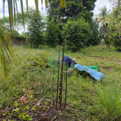 Dijual Tanah Jalan Rawasari Lorong Teratai Palembang Sangat Strategis-2