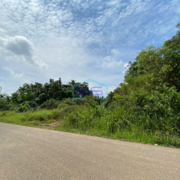 Dijual Tanah Komersial di Kec Alang Alang Lebar Palembang LT 14 Hektar-2