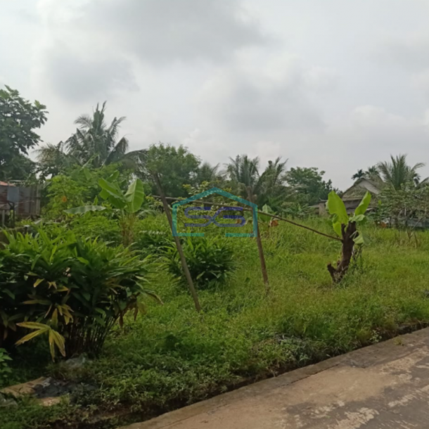 Dijual Tanah di Jalan Lubuk Kawahi Sukarami Palembang Luas 1005m2-1