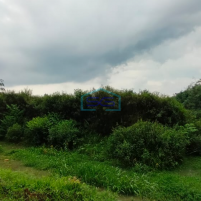 Dijual Tanah Jl Sukamakmur Air Batu kawasan Agrobisnis Peternakan Banyuasin Palembang LT 11 Hektar