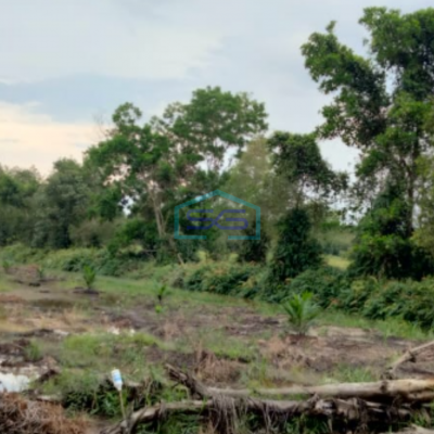 Dijual Tanah Jl Sukamakmur Air Batu kawasan Agrobisnis Peternakan Banyuasin Palembang LT 11 Hektar