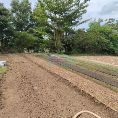 Dijual Tanah Jl. Hm Noerdin Pandji Kec Sako Kota Palembang Luas 21270m2