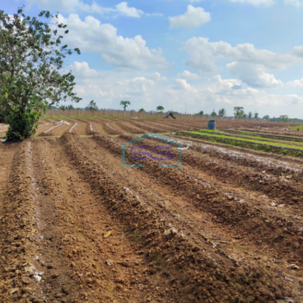 Dijual Tanah Jl. Hm Noerdin Pandji Kec Sako Kota Palembang Luas 21270m2-2