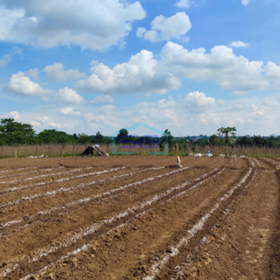 Dijual Tanah Jl. Hm Noerdin Pandji Kec Sako Kota Palembang Luas 21270m2