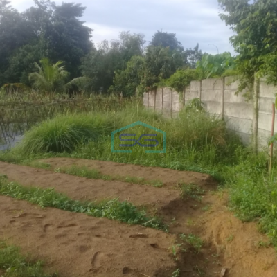 Dijual Tanah Jalan Talang Keramat dekat Kota Palembang Luas Tanah 8500m2