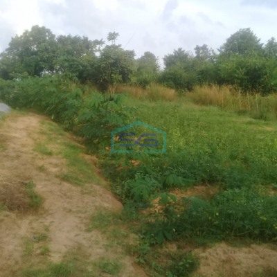 Dijual Tanah Jalan Talang Keramat dekat Kota Palembang Luas Tanah 8500m2