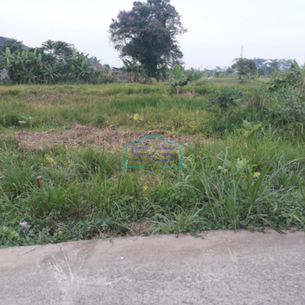 Dijual Tanah di Jalan Panca Usaha Ujung Palembang Lokasi Strategis Akses Mudah-1