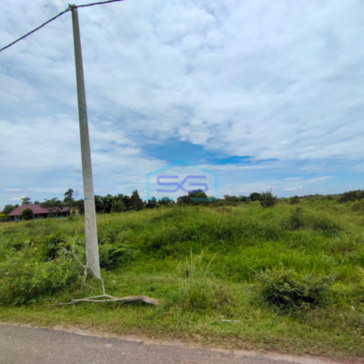 Dijual Tanah KM 32 Indralaya Sumatera Selatan Luas Tanah 60000m2