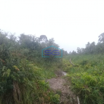 Dijual Tanah Jalan Tanjung Api Api dekat Komplek Pergudangan Prima Star Palembang LT 4000m2