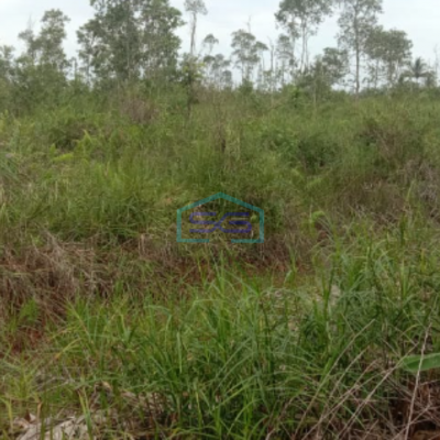 Dijual Lahan Tanah Jalan Tanjung Api Api Km 10 Palembang LT 14 Hektar