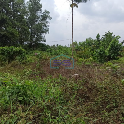 Dijual Tanah Keras di Jalan Lebung Permai Talang Kelapa Palembang-2