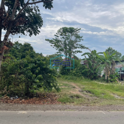 Dijual Tanah Keras Siap Bangun di Jalan Lingkar Randik Sekayu Sumatera Selatan LT 2920m2-2