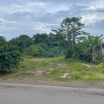 Dijual Tanah Keras Siap Bangun di Jalan Lingkar Randik Sekayu Sumatera Selatan LT 2920m2