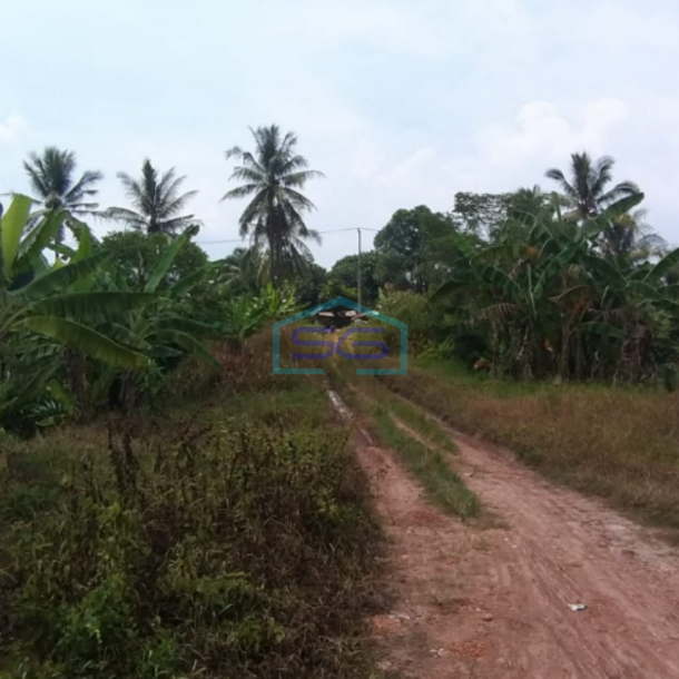 Dijual Tanah di Talang Betutu Kota Palembang Luas 8500m2-3