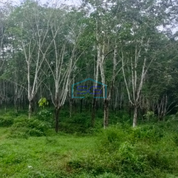 Dijual Lahan Tanah di Jalan Padat Karya Talang Buluh Palembang Luas 48000m2-1