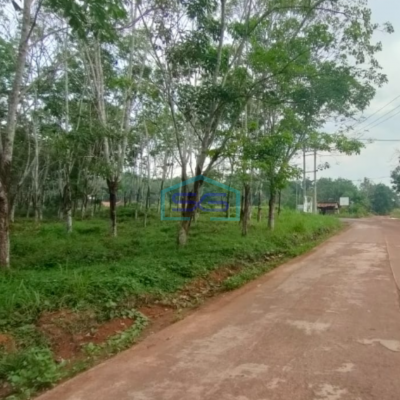 Dijual Lahan Tanah di Jalan Padat Karya Talang Buluh Palembang Luas 48000m2-2