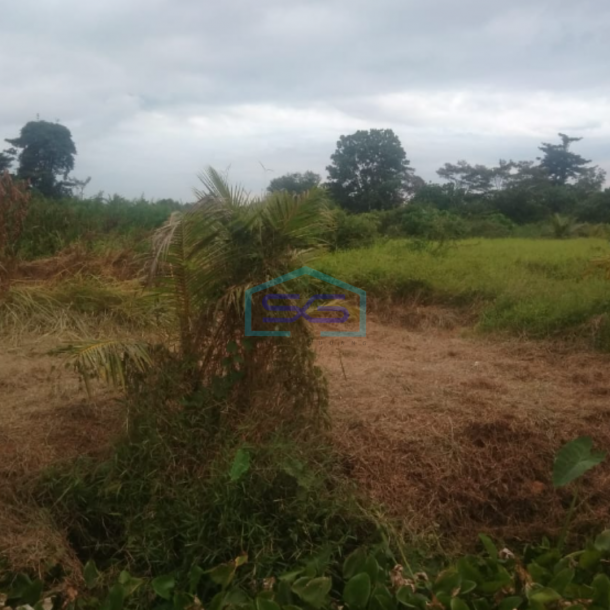 Dijual Lahan Talang Keramat Banyuasin Sumatera Selatan Luas Tanah 60000m2-1