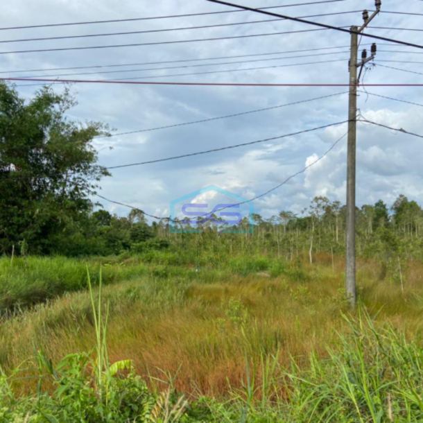 Dijual Lahan Strategis Tepi Jalan Tanjung Api Api Km 13 Banyuasin Sumatera Selatan LT 2 Ha-1